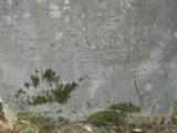 image of grave number 366109